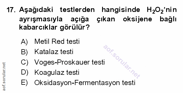 Soru 17