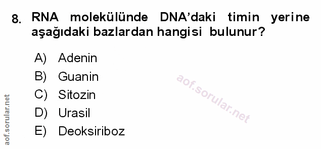 Soru 8