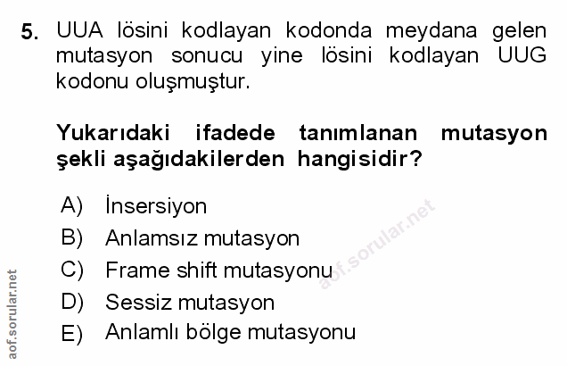 Soru 5
