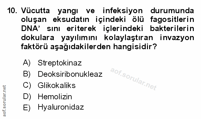 Soru 10