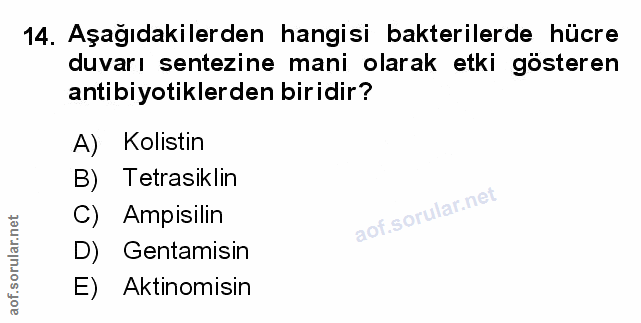 Soru 14