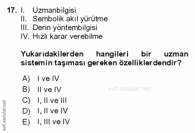 Soru 17