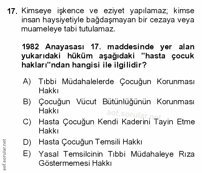 Soru 17