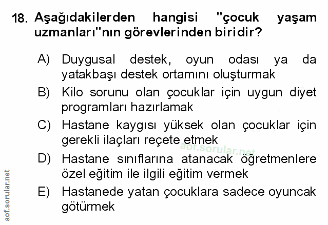 Soru 18
