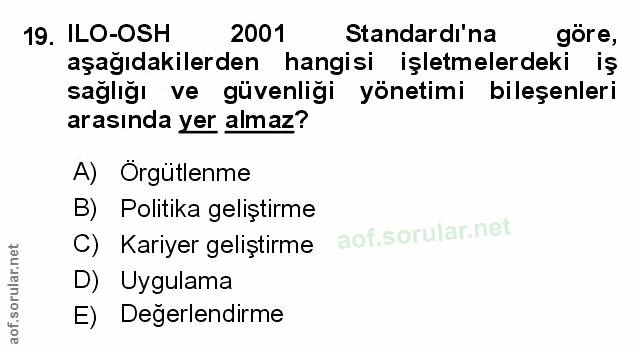 Soru 19