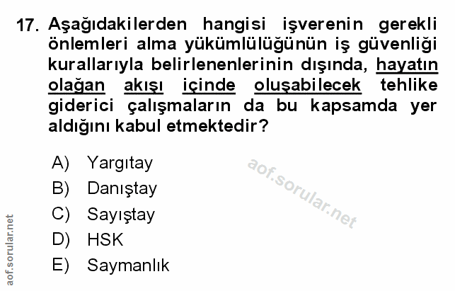 Soru 17