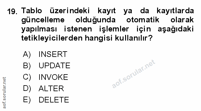 Soru 19