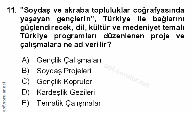 Soru 11
