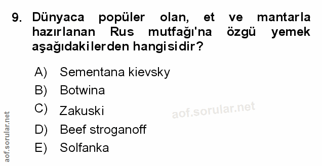 Soru 9