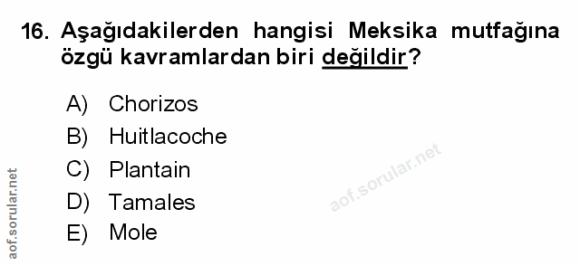 Soru 16