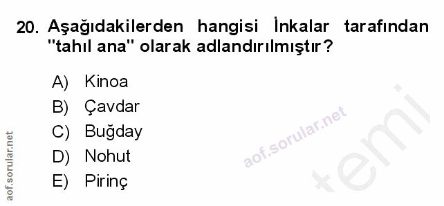 Soru 20