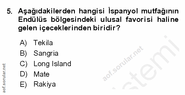 Soru 5