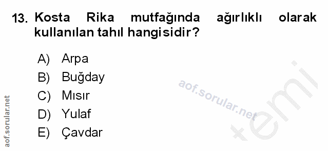Soru 13