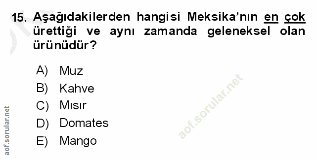Soru 15