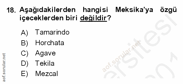 Soru 18