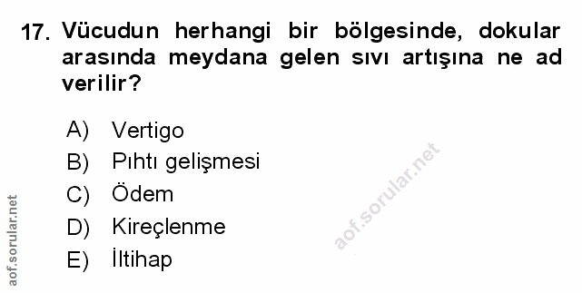 Soru 17