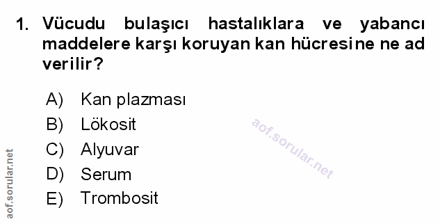 Soru 1