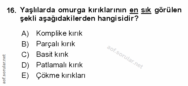 Soru 16