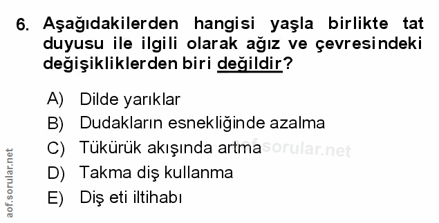 Soru 6