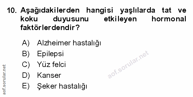 Soru 10