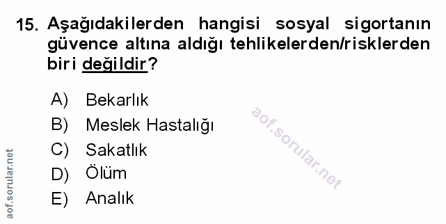 Soru 15
