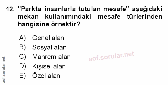 Soru 12