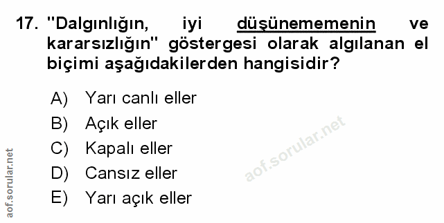 Soru 17