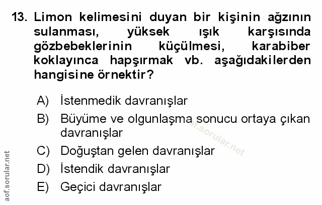 Soru 13