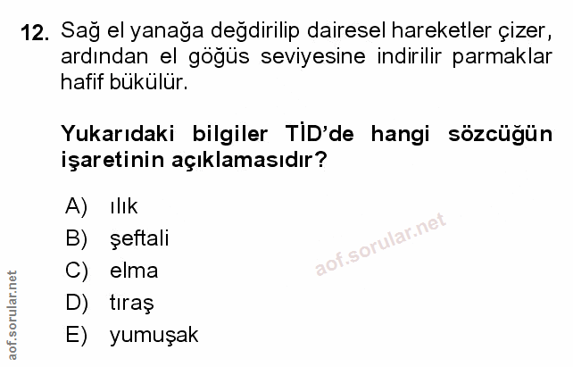 Soru 12