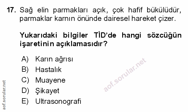 Soru 17
