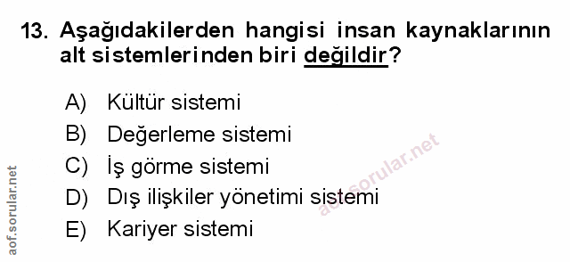Soru 13
