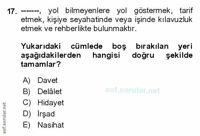 Soru 17
