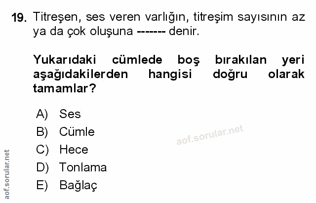 Soru 19