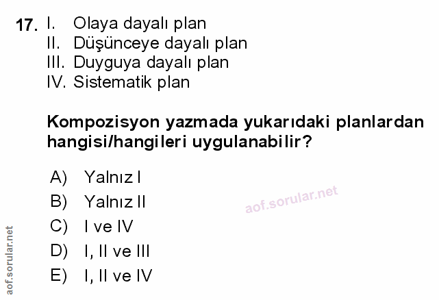 Soru 17
