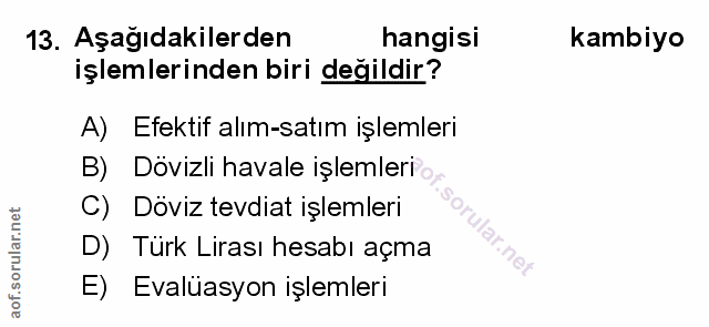 Soru 13