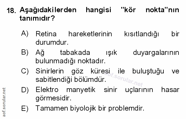 Soru 18