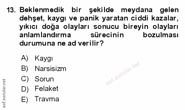 Soru 13