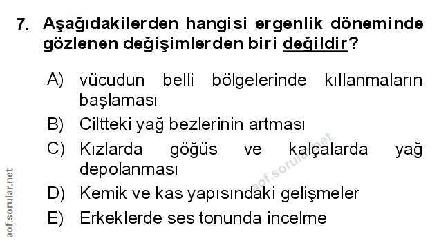 Soru 7