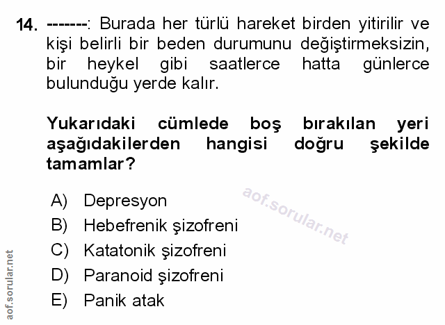 Soru 14