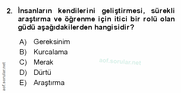 Soru 2