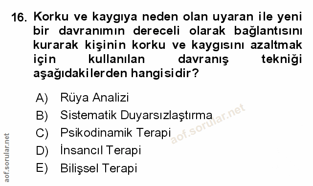 Soru 16