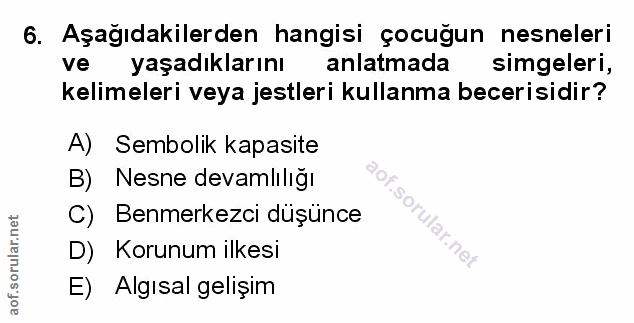 Soru 6