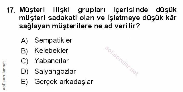 Soru 17
