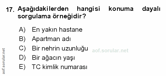 Soru 17