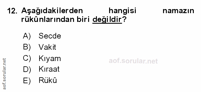 Soru 12