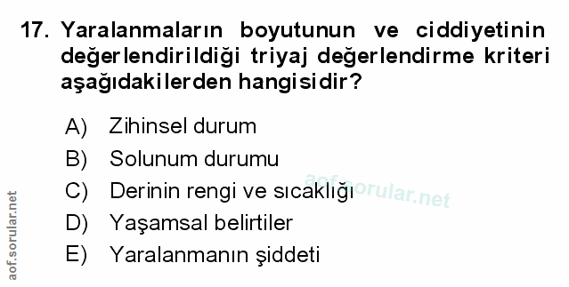 Soru 17