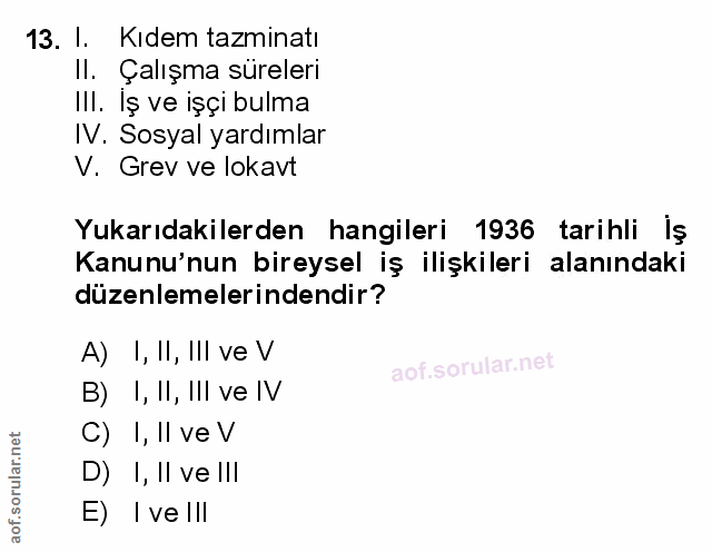 Soru 13