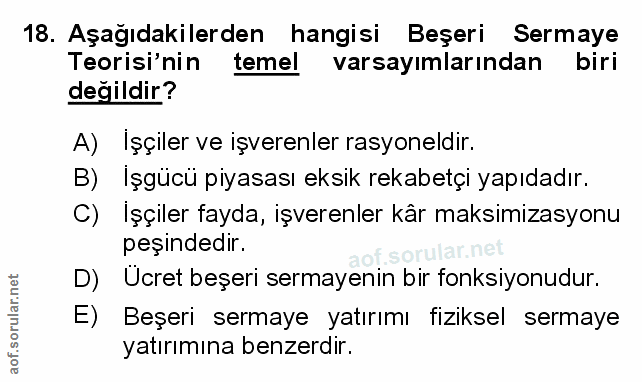 Soru 18