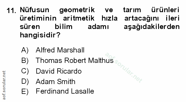 Soru 11
