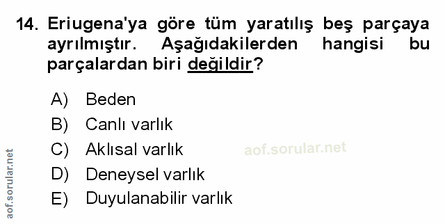 Soru 14